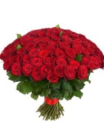 151 red roses