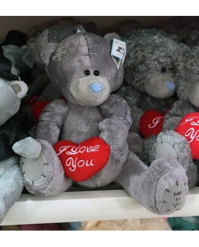 Teddy Bear 0023