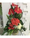 Roses and Anthuriums
