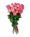 7 Pink Roses