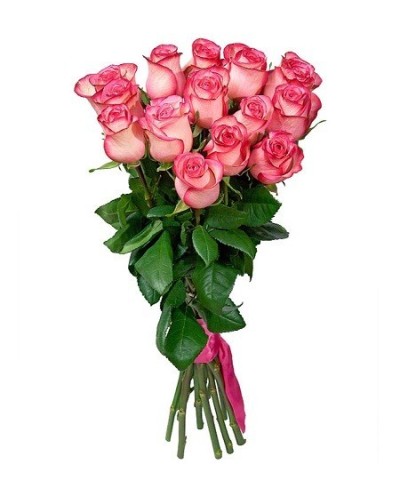 Pink Roses with Ribbon