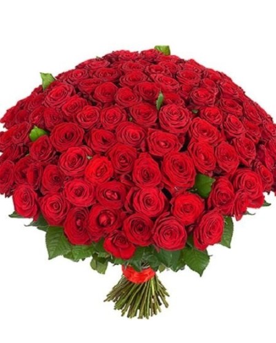 151 red roses