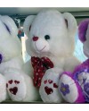 Teddy Bear 0018