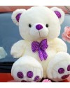 Teddy Bear 0019