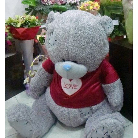 Teddy Bear 0022