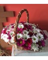 Orchid Basket