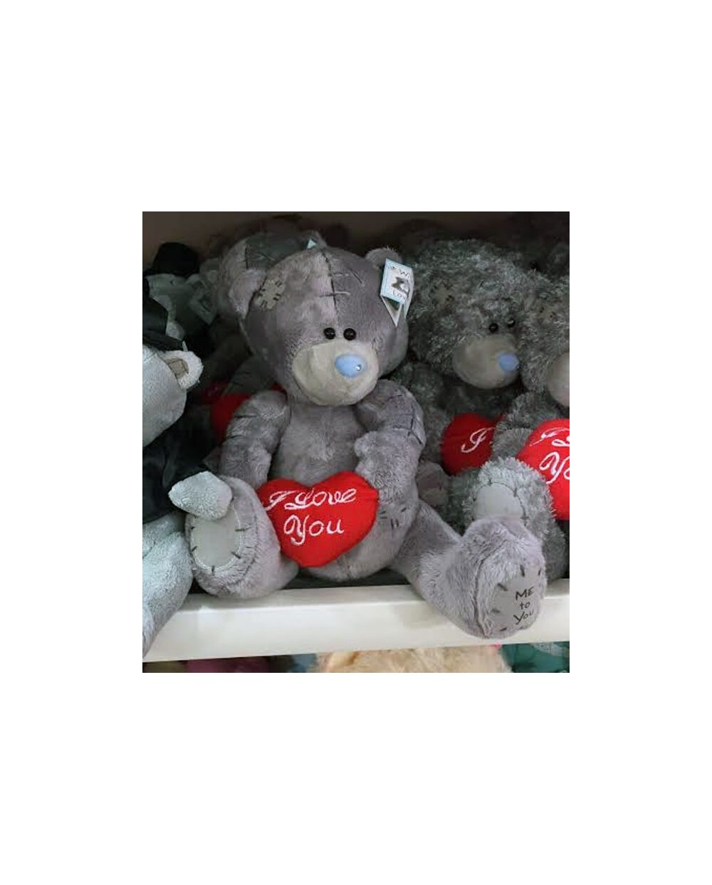 Teddy Bear 0023