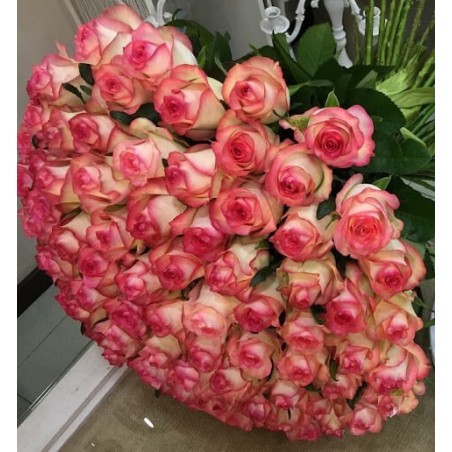 101 Pink roses