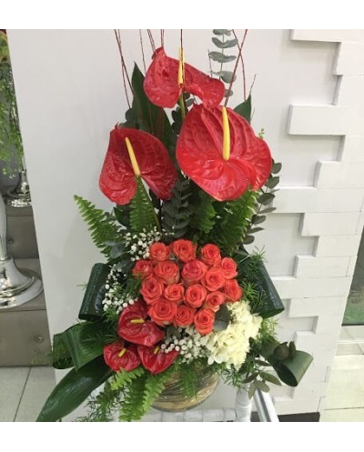 Roses and Anthuriums