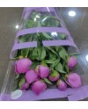 29 White Roses