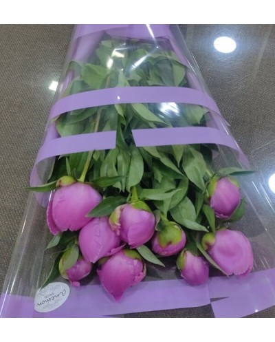 29 White Roses