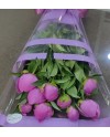 29 White Roses