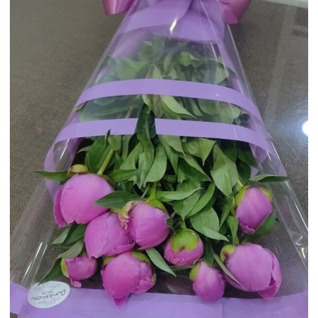 29 White Roses