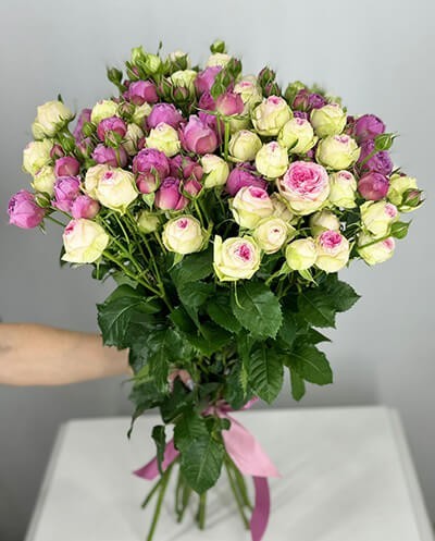 19 Spray Roses
