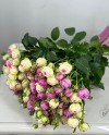 Pink & White Spray Roses