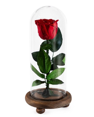 Вечная роза-001