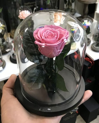 Вечная роза-008