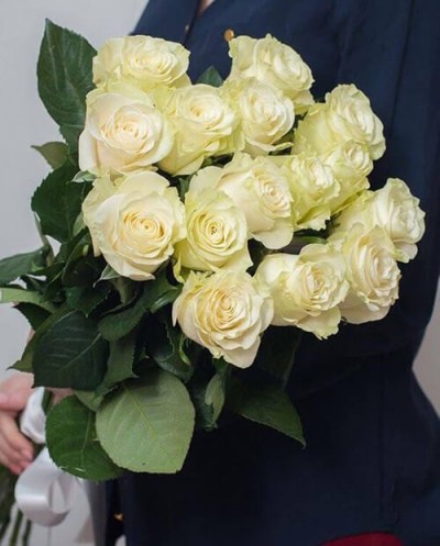 15 White Roses