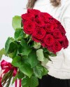 15 Կարմիր վարդեր
