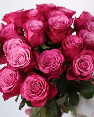 15 Pink Roses