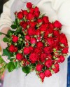 Red Spray Roses