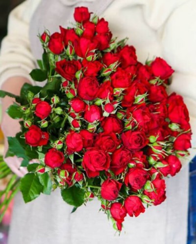 Red Spray Roses