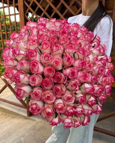 101 Pink roses