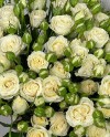 White Spray-19