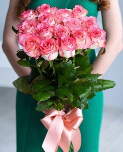 15 Jumelia Roses