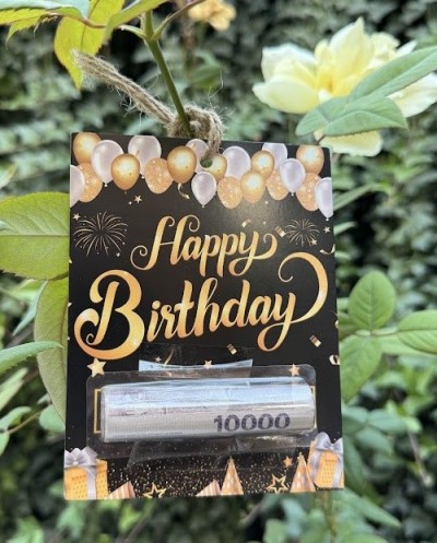 Money Gift-13