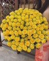 101 Yellow Roses
