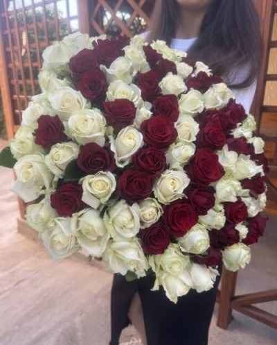 101 red and white roses