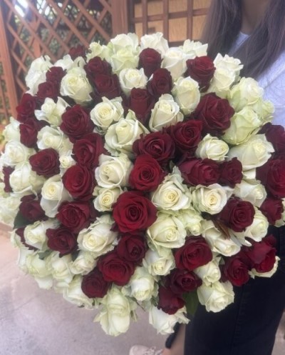 101 red and white roses