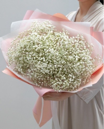 Bouquet of Gypsophila