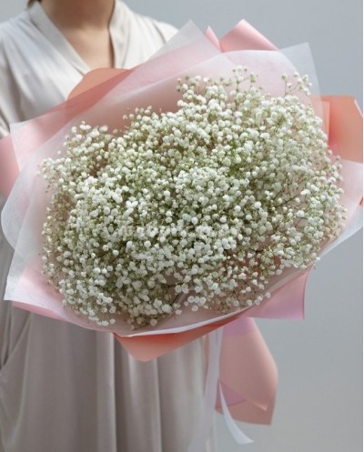 Bouquet of Gypsophila