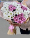 Pink and White Chrysantems