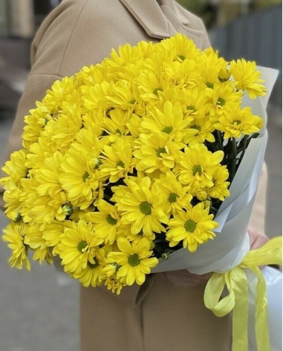 Yellow Chrysantems