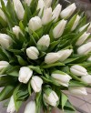 Tulips-006