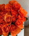 Orange Roses-60cm