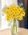 Yellow Chrysantems In Vase