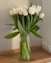 White Tulips in Vase