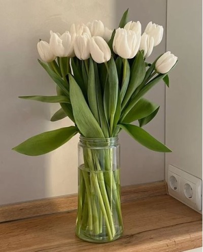 White Tulips in Vase