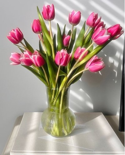 Pink Tulips in Vase