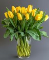 Yellow Tulips in Vase