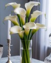 9 Calla Lilies