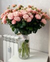 15 Pink Spray Roses