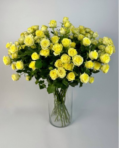 Yellow Spray roses