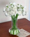 White Ranunculus in Vase