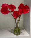 11 Red Anthuriums