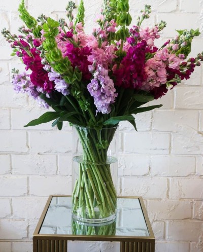 Colorful Snapdragons